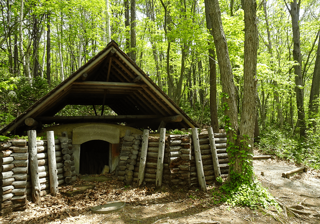 炭焼小屋画像