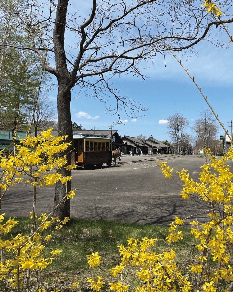 市街地を走る馬車鉄道